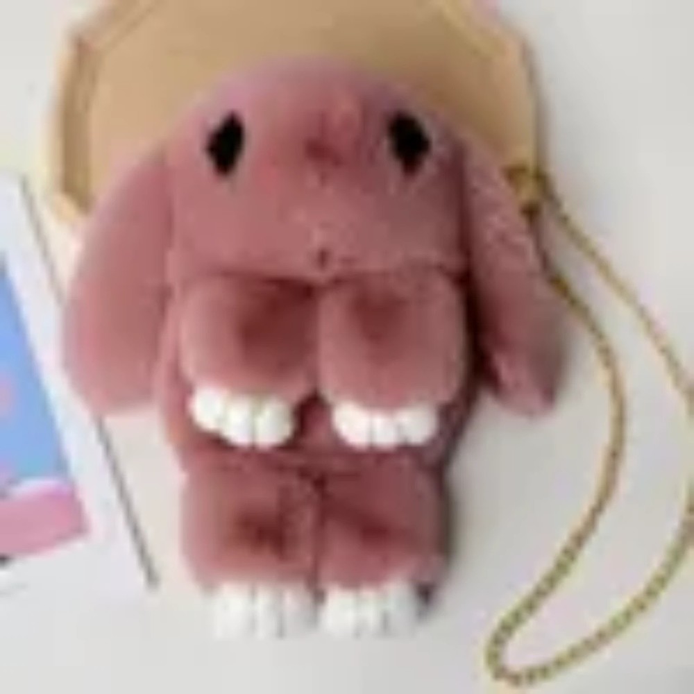 Cute Girl Rabbit Fur Handbag Women's Long Chain Bunny Messenger Bag